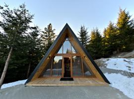 A-frame Frumusica, hôtel à Păltiniş