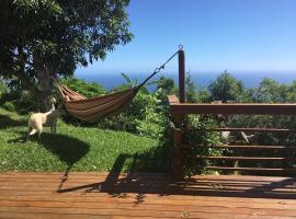 Ecolodge vue Océan Indien，位于圣丹尼斯的酒店