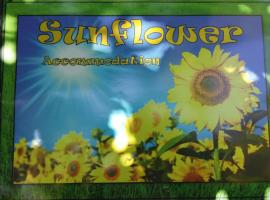 ホテル写真: Sunflower Accommodation