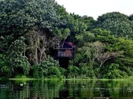 Eware Treehouse