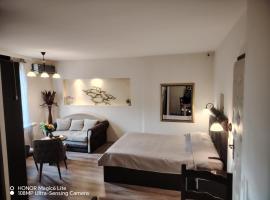 Sunce, hotel en Ribarska Banja