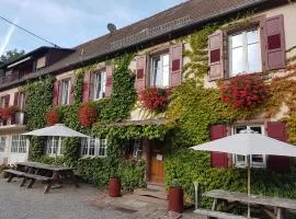 Hôtel du Haut Koenigsbourg- entre vignes et château