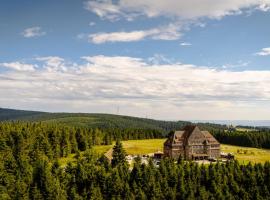 Naturhotel Sachsenbaude Oberwiesenthal - Indoor-Pool & Outdoor-Whirlpool, מלון בקורורט אוברוויזנטל