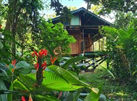 Live the Jungle - Rustic Refuge, hotel in Bastimentos