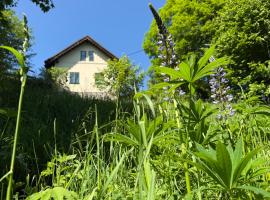 Stříbrná chaloupka Na Vyhlídce, ξενοδοχείο σε Stříbrnice