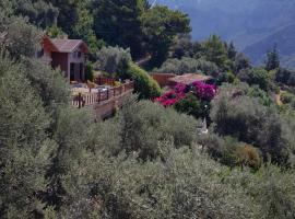 Kabak Armes Otel, hotel v destinaci Fethiye