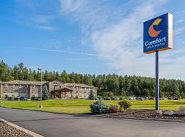 Comfort Inn & Suites, hotel in Custer