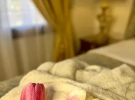 Great Greece Le Convivial Suites