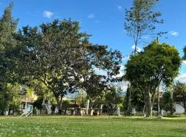 Finca San Alejandro