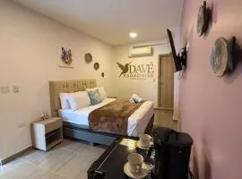 Davé Paradise