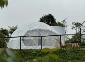 Việt Úc Flower Garden