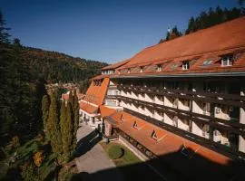 Hotel Ciucas