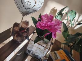 Cazare Clara Cluj, ξενοδοχείο σε Cluj-Napoca