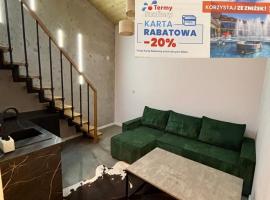 Noclegi u Wojtka,位于斯洛莫夫采维日奈的酒店
