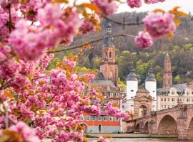 ibis Heidelberg Hauptbahnhof, ξενοδοχείο στη Χαϊδελβέργη