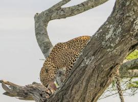 Issah tours and safari guide tz, ξενοδοχείο σε Nkunjila