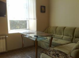 Hotel Photo: Historical Center Apartment on Chaykovskiy