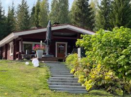 Kivisalmi ja AuroraHut, Hotel in Viitasaari