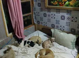 Vuong Tran Dalat Inn Retreat