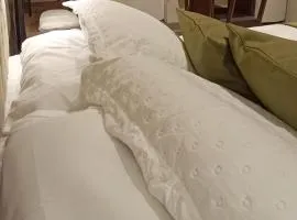 Arvore da Vida Pousada