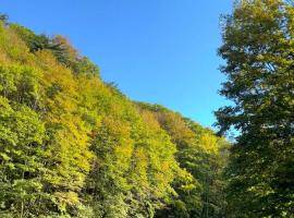 WEND URABANDAI -the private villa-, hôtel à Kitashiobara