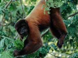 Allpayacu Adventures Lodge - All Inclusive, hotel in Puerto Franco