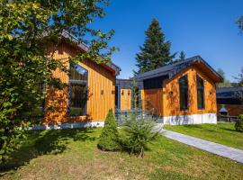 Phoenix Medical Resort, hotel v destinaci Schidnycja