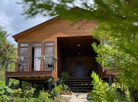 Balda Novel House, hotel en Martvili