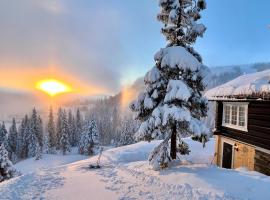 Cozy cabin apartment, ski-in ski-out at Kvitfjell, hotel in Kvitfjell
