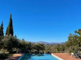 La Guzmana de Ronda