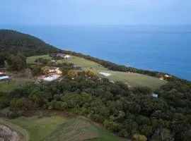 Misty Mountain Reserve