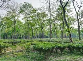 Hotel O Heritage Nest Resort Kazirnga