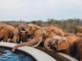 Mbazo Safari Collection, Hotel in Pilanesberg