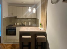 Condo Studio Inn "near Delta Planet", hotell sihtkohas Niš