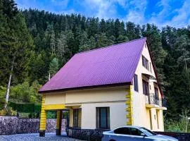 Hotel forest echo