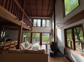 Cabin A MtFuji view, BBQ, lake Saiko 3mins, hammock, wood deck, hotel v destinaci Narusawa