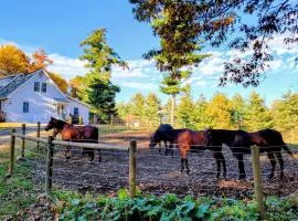 The Suite at Liberty Woods