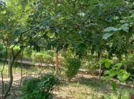 Z ZION Plus stay Hotel Near IGI Aiport & Aerocity