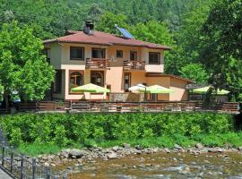 Family Hotel Fedora, ξενοδοχείο σε Ribarica