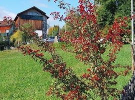 Privat-Zimmer in Hotel am Pfahl, hôtel à Viechtach