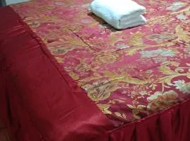 HOSTAL ELIAS hipolito unanue nro 475