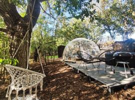 Forest Home Okoř、Okořのホテル