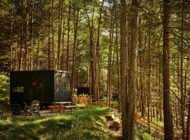 Postcard Cabins Eastern Catskills, Outdoor Collection by Marriott Bonvoy, hotel u gradu Katskil