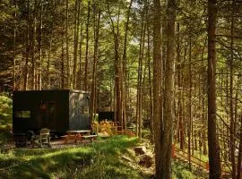 Postcard Cabins Eastern Catskills, Outdoor Collection by Marriott Bonvoy