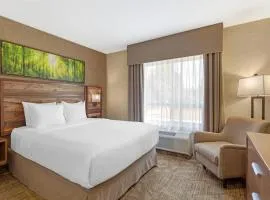 Best Western Plus Valemount Inn & Suites