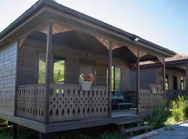 Ateni Hills, hotel en Gori