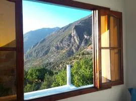 Panorama Lodge