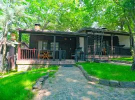 Fatsa Belediyesi Çerkezler Tepesi Bungalov Otel