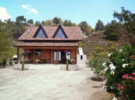 호텔 사진: Agros Timber Log House