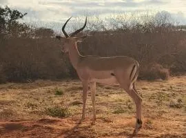 Tausa Tsavo Eco Lodge